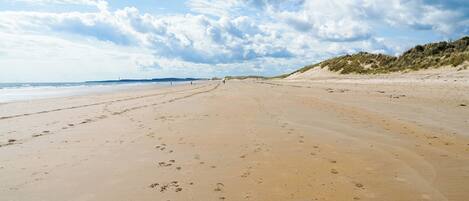 صيد الأسماك