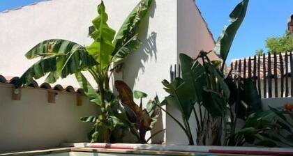 Villa Piscine Bord Detang-5 min Plage-parc Expo