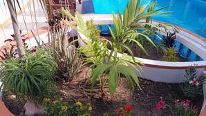 A poolside garden with various plants and flowers, a white pool, and a blue sky.