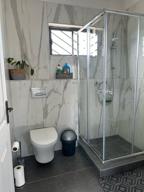 Shower, hair dryer, towels, soap