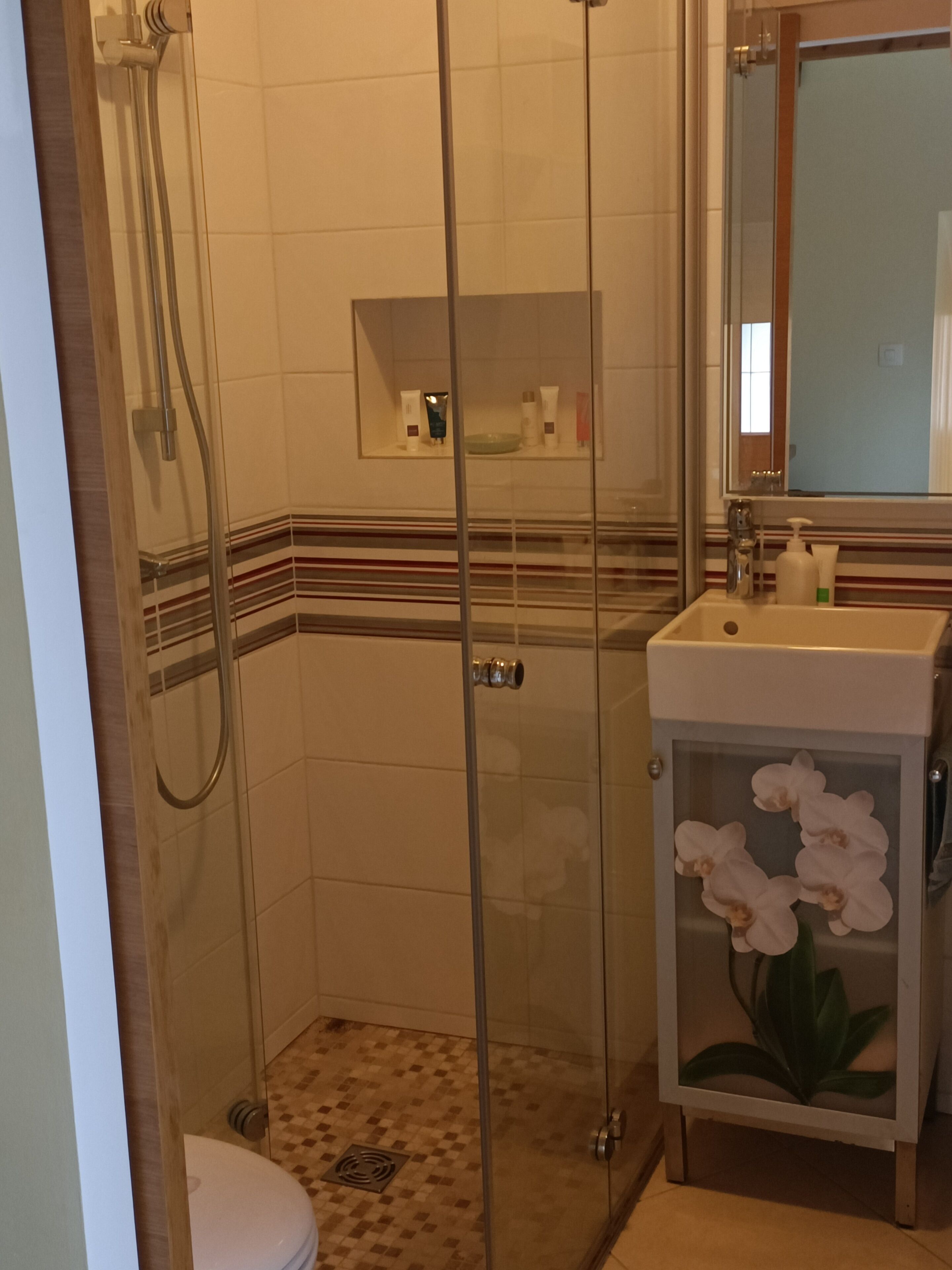 Gratis toiletartikelen, een haardroger, handdoeken, zeep