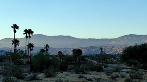 Paisaje desértico con montañas al fondo, palmeras y vegetación escasa.