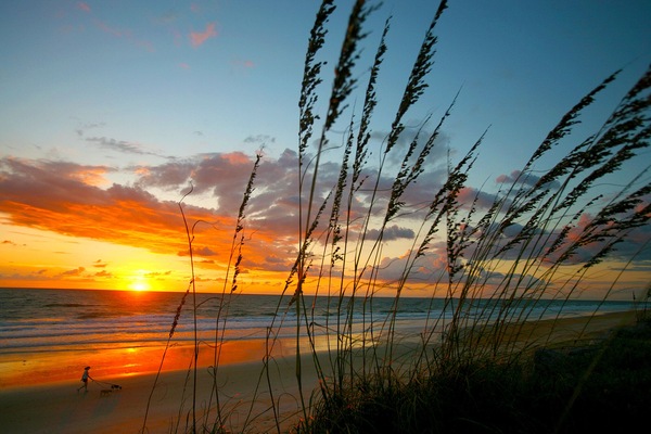 Aurinkotuoleja, rantapyyhkeitä