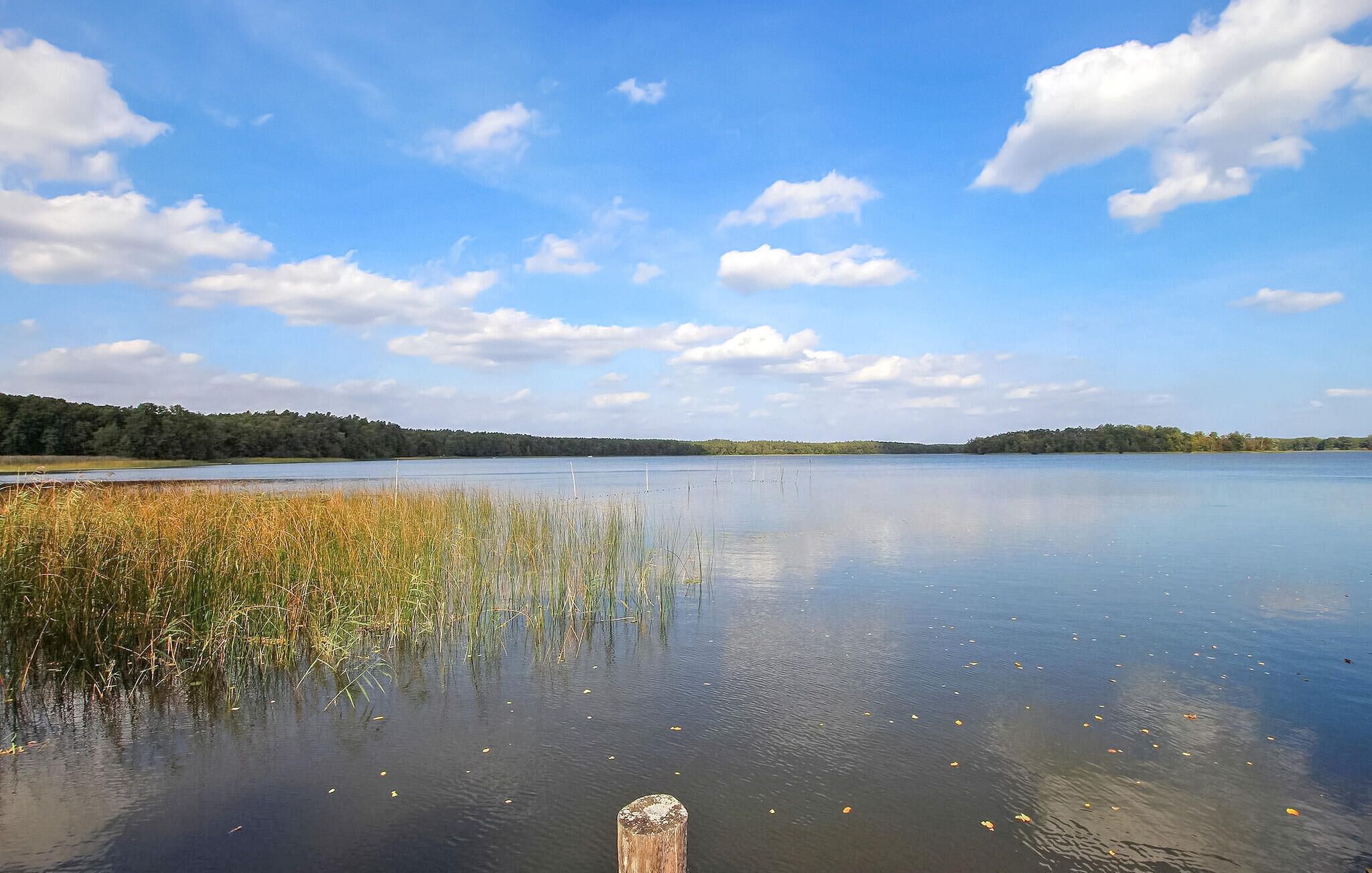Un lac paisible, avec un poteau en bois au premier plan, entouré de hautes herbes et d’arbres sous un ciel dégagé.