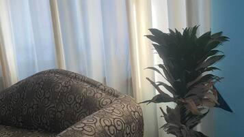 A patterned sofa, a potted plant, and a window with sheer curtains.