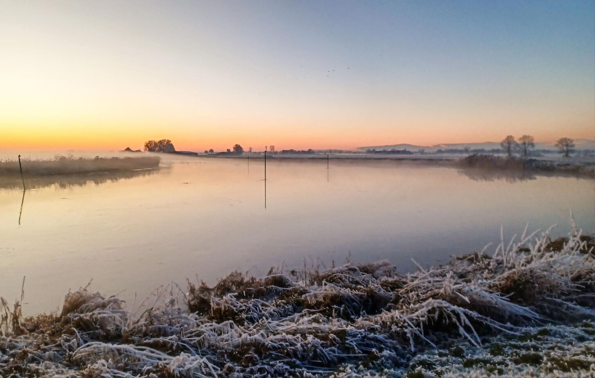 A calm body of water with a clear horizon, surrounded by frosty vegetation.