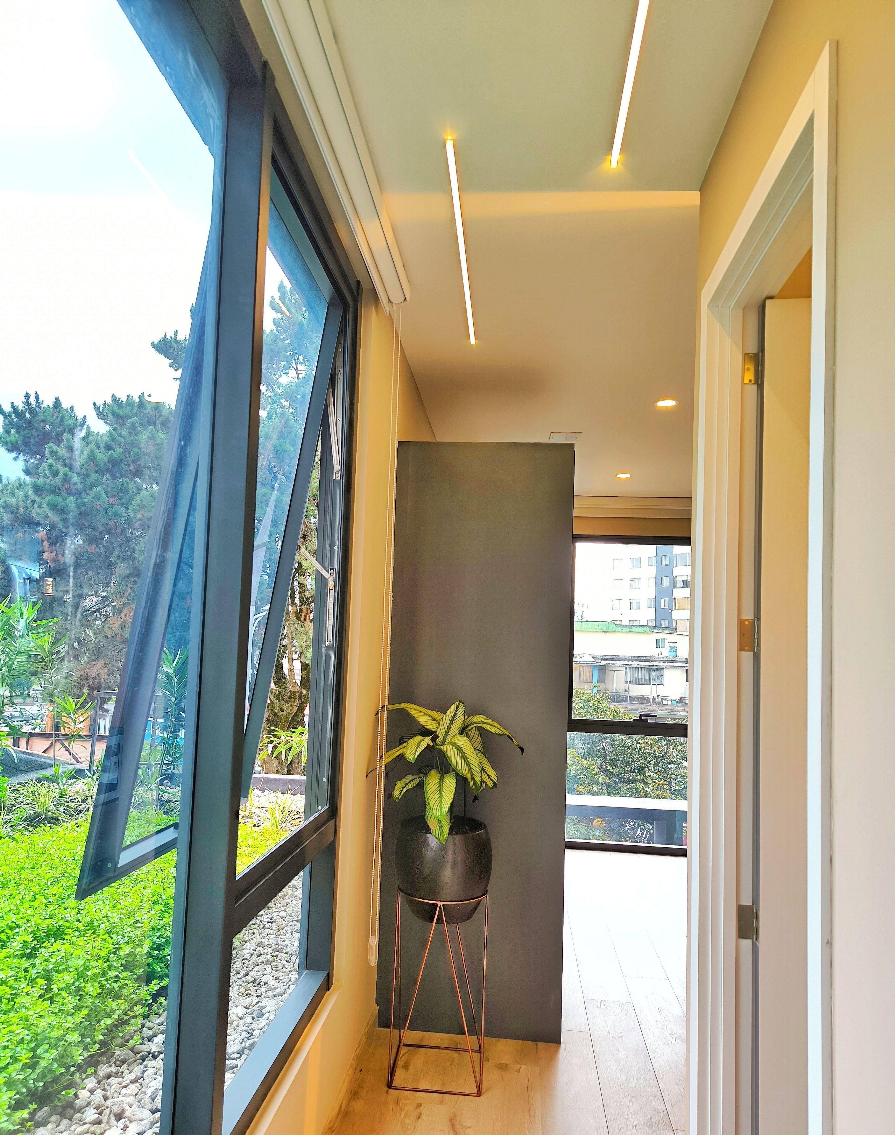 Un pasillo moderno con amplios ventanales, una planta en maceta y vistas al exterior con vegetación.