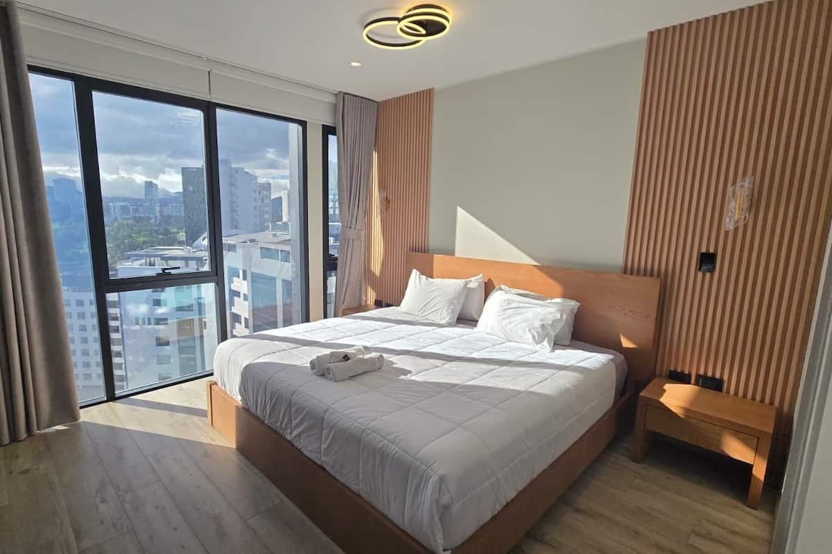 Deluxe Apartment, City View
