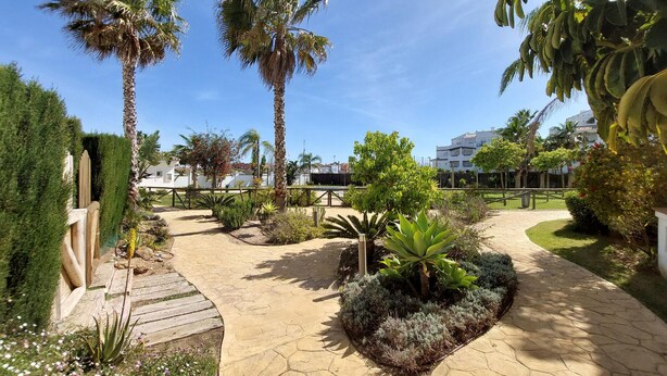A paved garden pathway with palm trees, a wooden deck, and various plants.