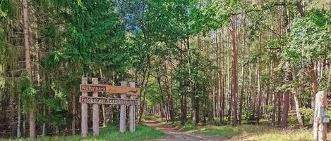 Un poste de madera con la inscripción 'Naturpark' y 'Feldberger Seenlandschaft', señalando un área de parque natural.