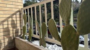 Una planta de cactus en una maceta, con una baranda blanca, frente a un muro de ladrillo y vistas a la calle.