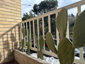 Exterior detail - St.peter's Moon near St. Peter's Basilica and very close to the historic center (Roma)