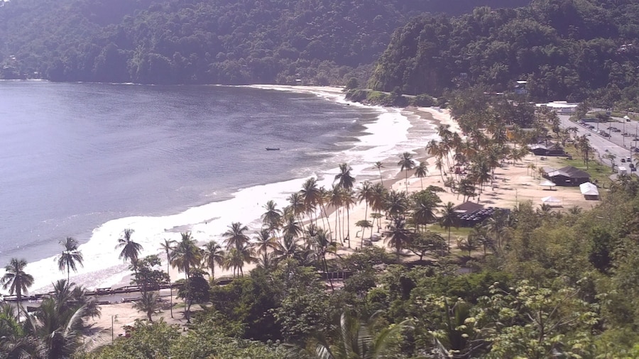 Maracas Bay View