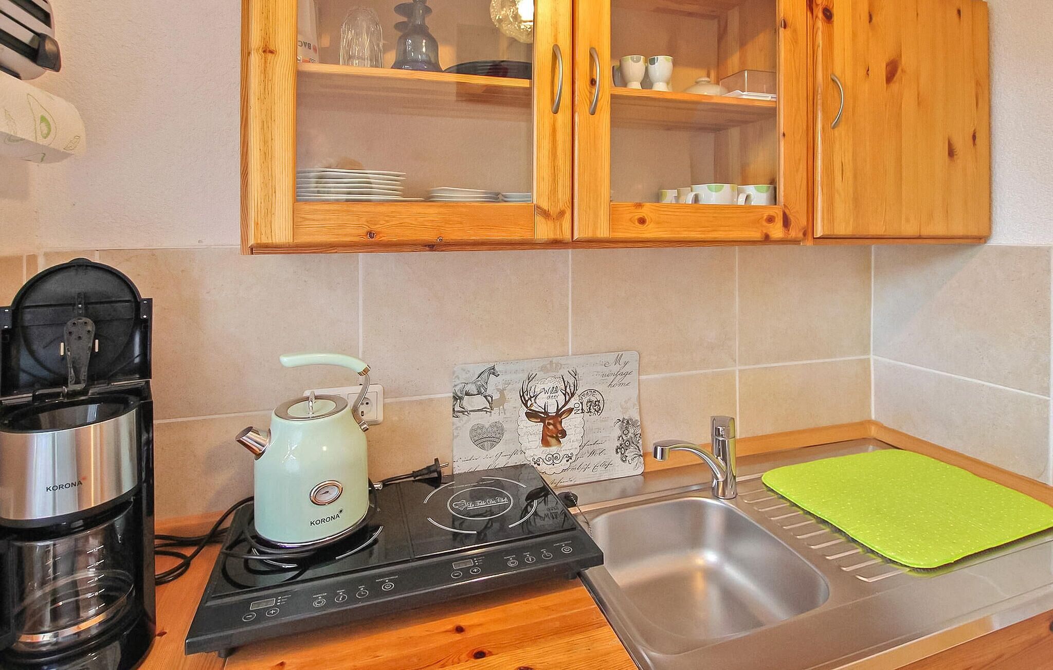 Kühlschrank, Herdplatte