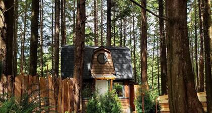 The Sapling Cabin by Evergreen Forest Cabins