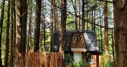 The Sapling Cabin by Evergreen Forest Cabins