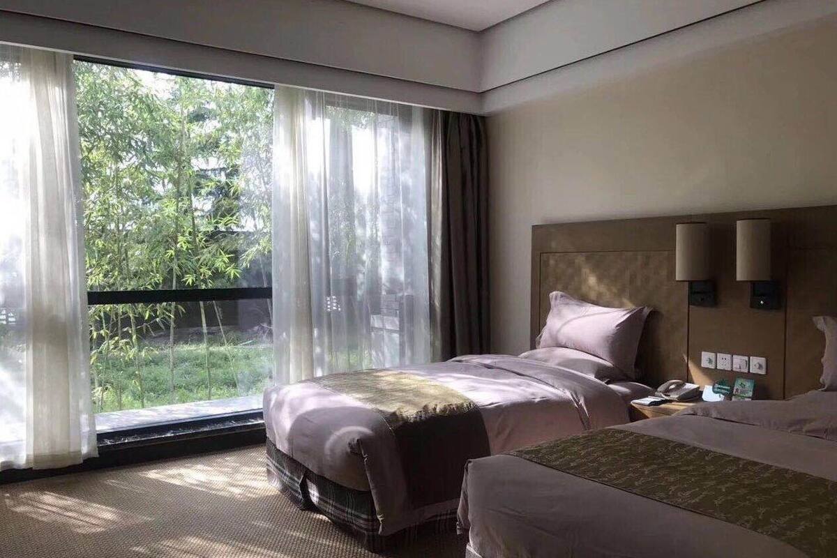 A hotel room with a large window, a bed with a headboard, a bedside table with a lamp, and a view of greenery outside.