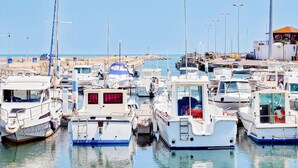A marina with multiple boats docked, featuring various sizes and types of vessels. - Amazing home in Saint Pierre La Mer with WiFi (Saint Pierre La Mer)