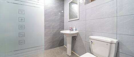 Ein Badezimmer mit einer weißen Toilette, einem Standwaschbecken und einem Spiegel darüber.
