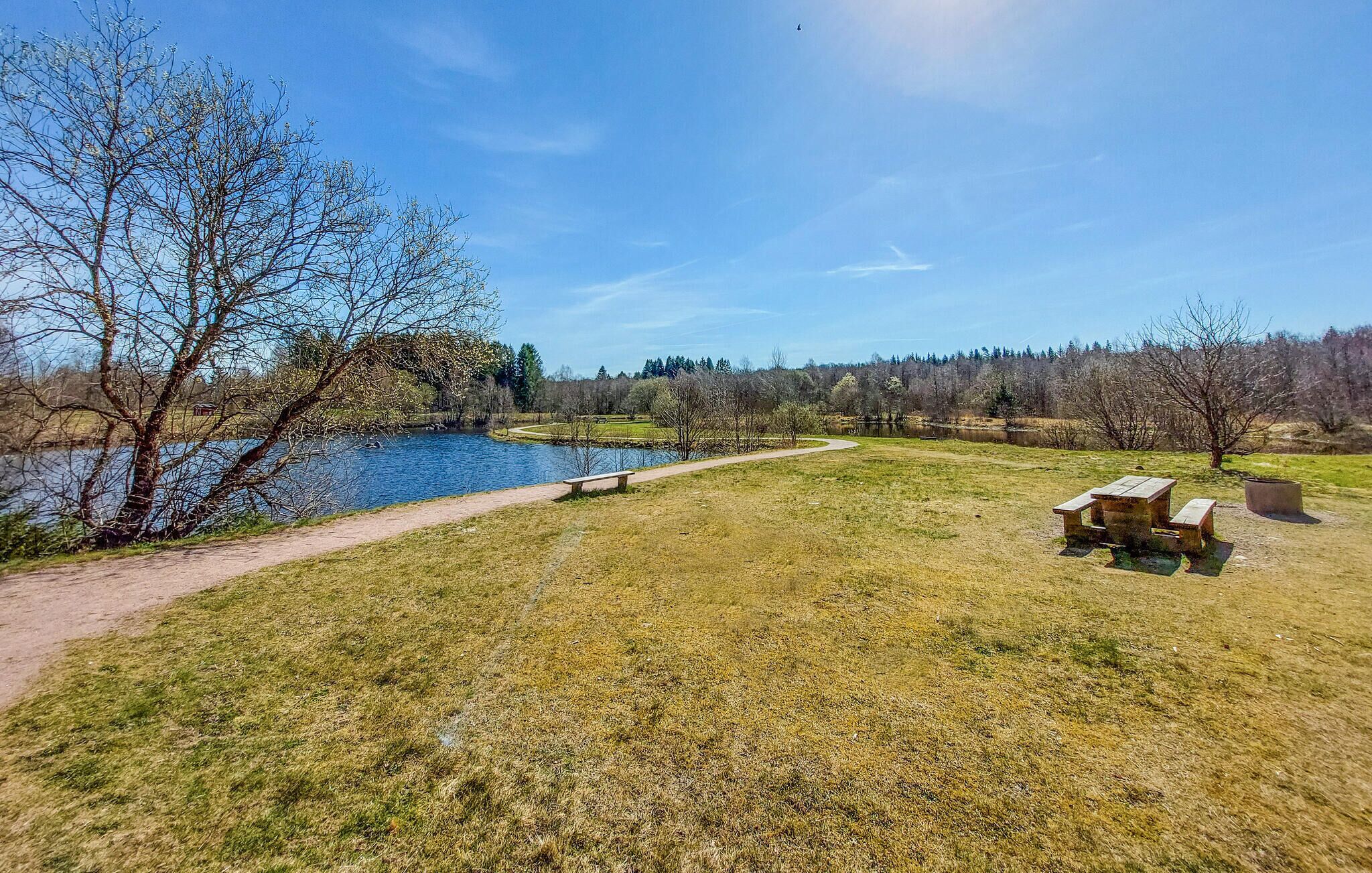 A park with a pond, picnic tables, and a walking path.
