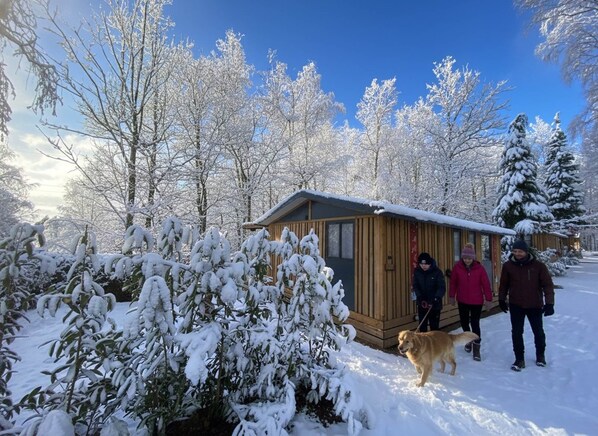 Una cabaña de madera rodeada de árboles cubiertos de nieve.