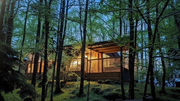 Eine Holzhütte in einem Wald mit einer Holzfassade und einer Veranda.