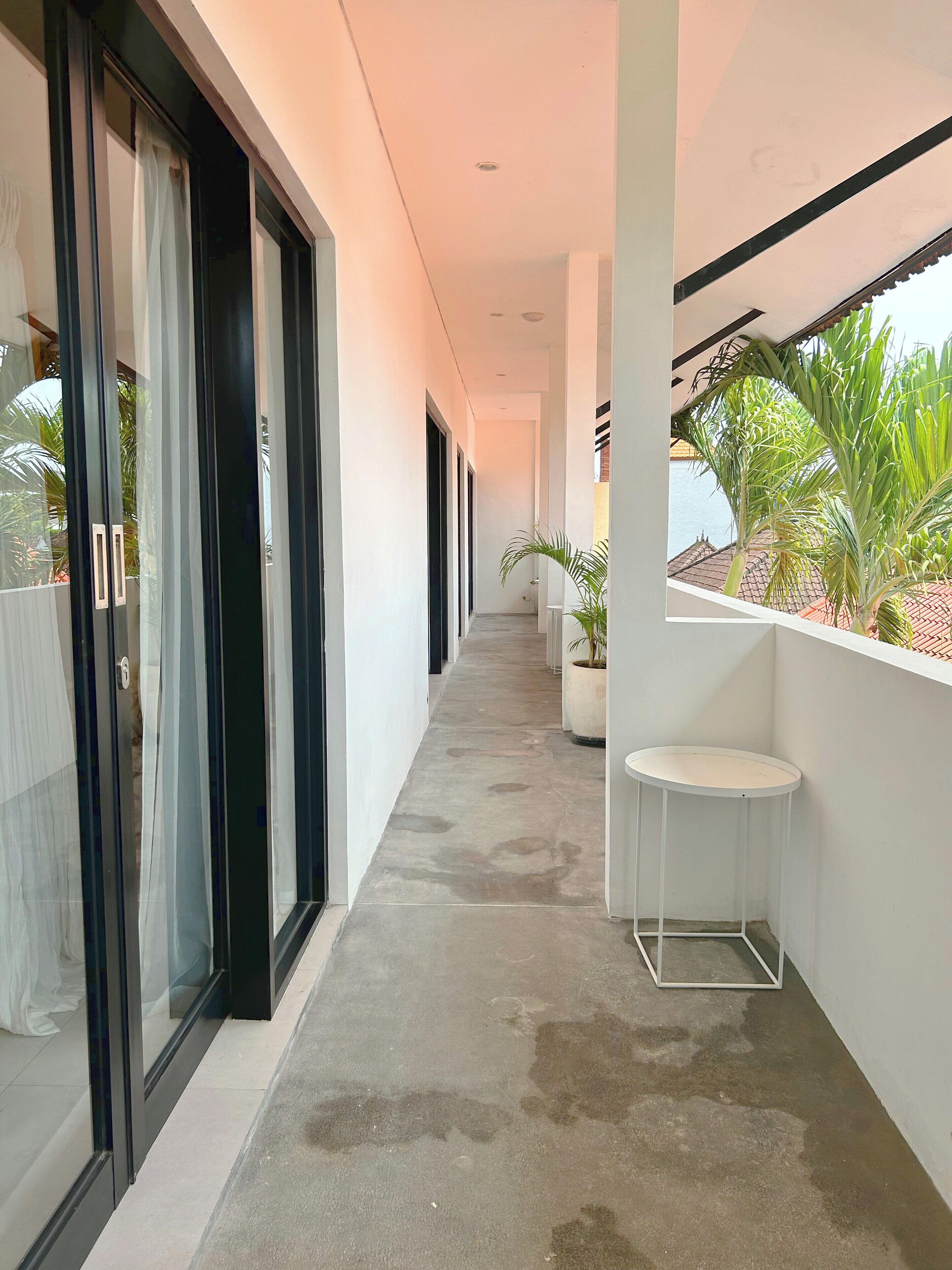 A corridor with glass doors, a potted plant, and a small table.