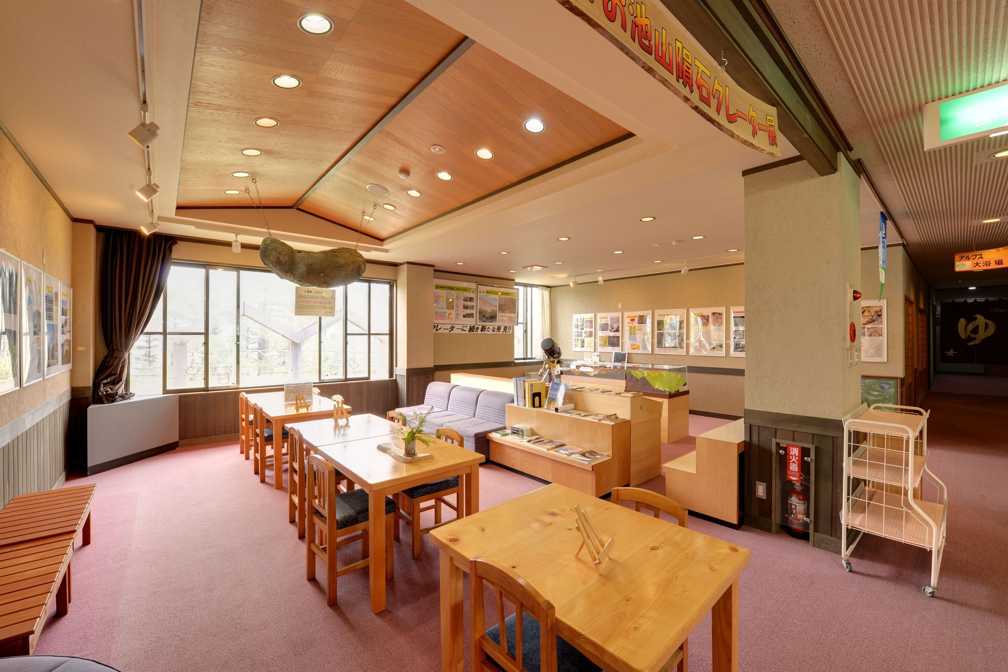 A spacious library with wooden tables and chairs, a fireplace, and a large window providing natural light.