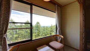 Basic Room | View from room