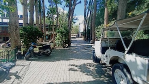 Free self parking