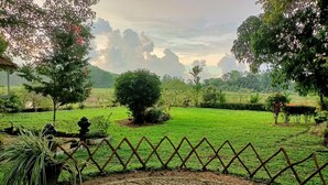 A garden with a paved pathway, a fence, and various trees and shrubs. - Handiranwila Resort (Anguruwatota)