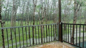 Garden view