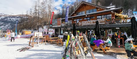 Esports d'hivern i esquí