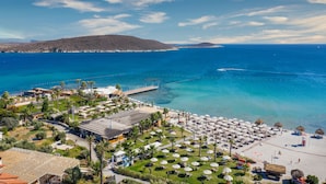 Un complejo turístico frente al mar con playa, palmeras y un muelle.