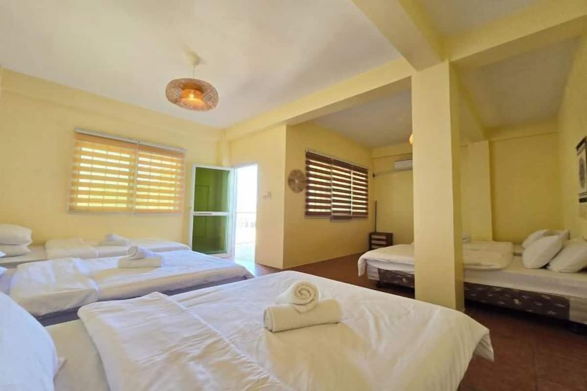 Desk, WiFi (free), bed sheets