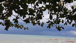 Une plage aux eaux calmes, d’où l’on peut admirer le ciel à travers les branches des arbres.