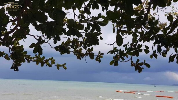 Une plage aux eaux calmes, d’où l’on peut admirer le ciel à travers les branches des arbres.