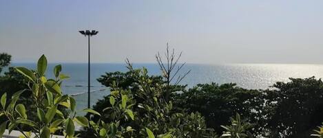 A view of the sea from a balcony with lush greenery and a street lamp.