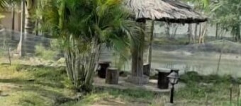 Rural Bengal Village Stay!