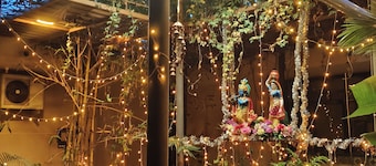 Homestay & Homecare amidst Gracious Trees & whispering birds