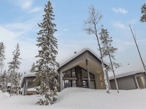 Een modern gebouw met een schuin dak, omringd door met sneeuw bedekte bomen.