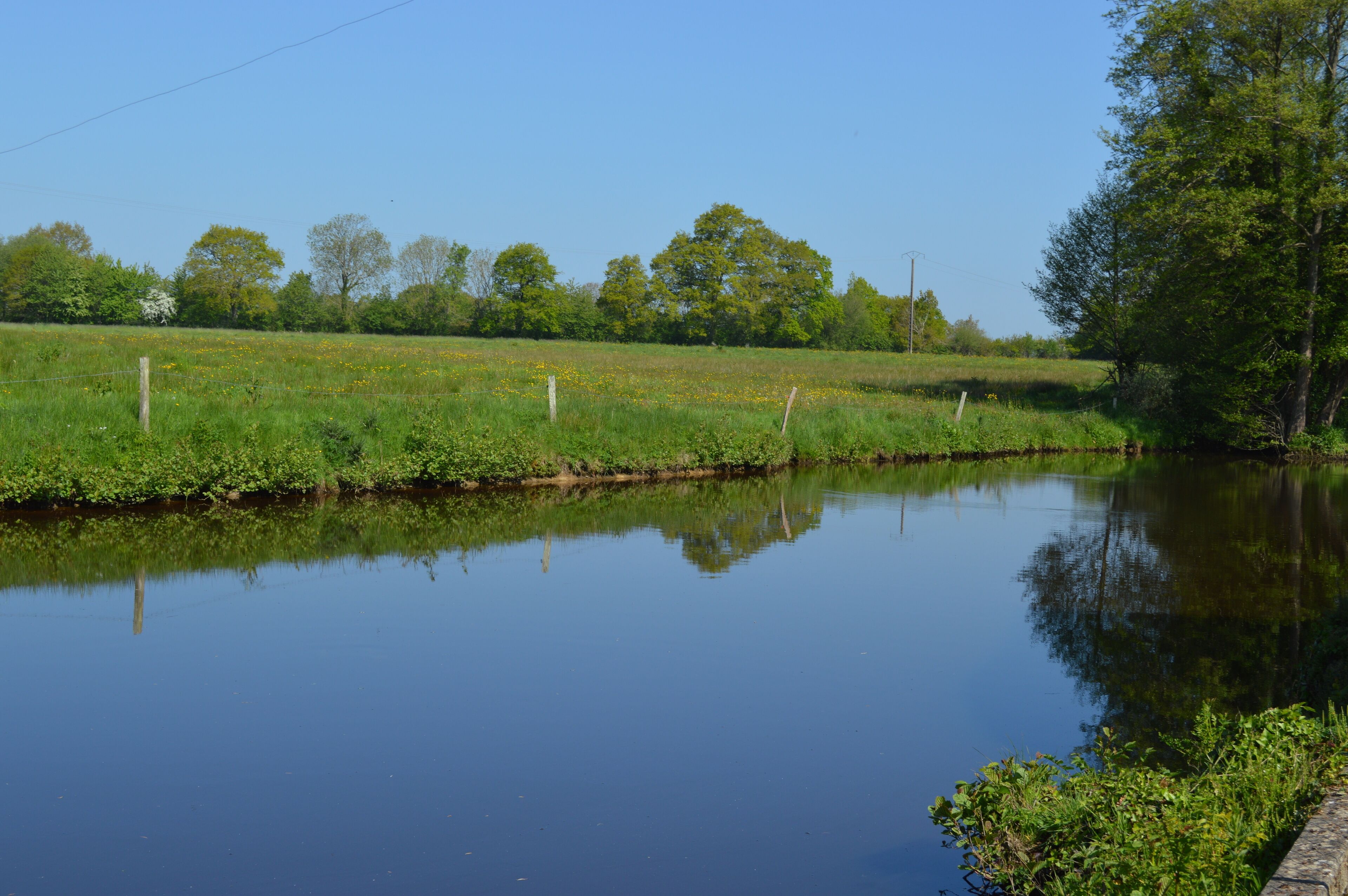 Een rustige rivier met een grasrijke oever en bomen op de achtergrond.