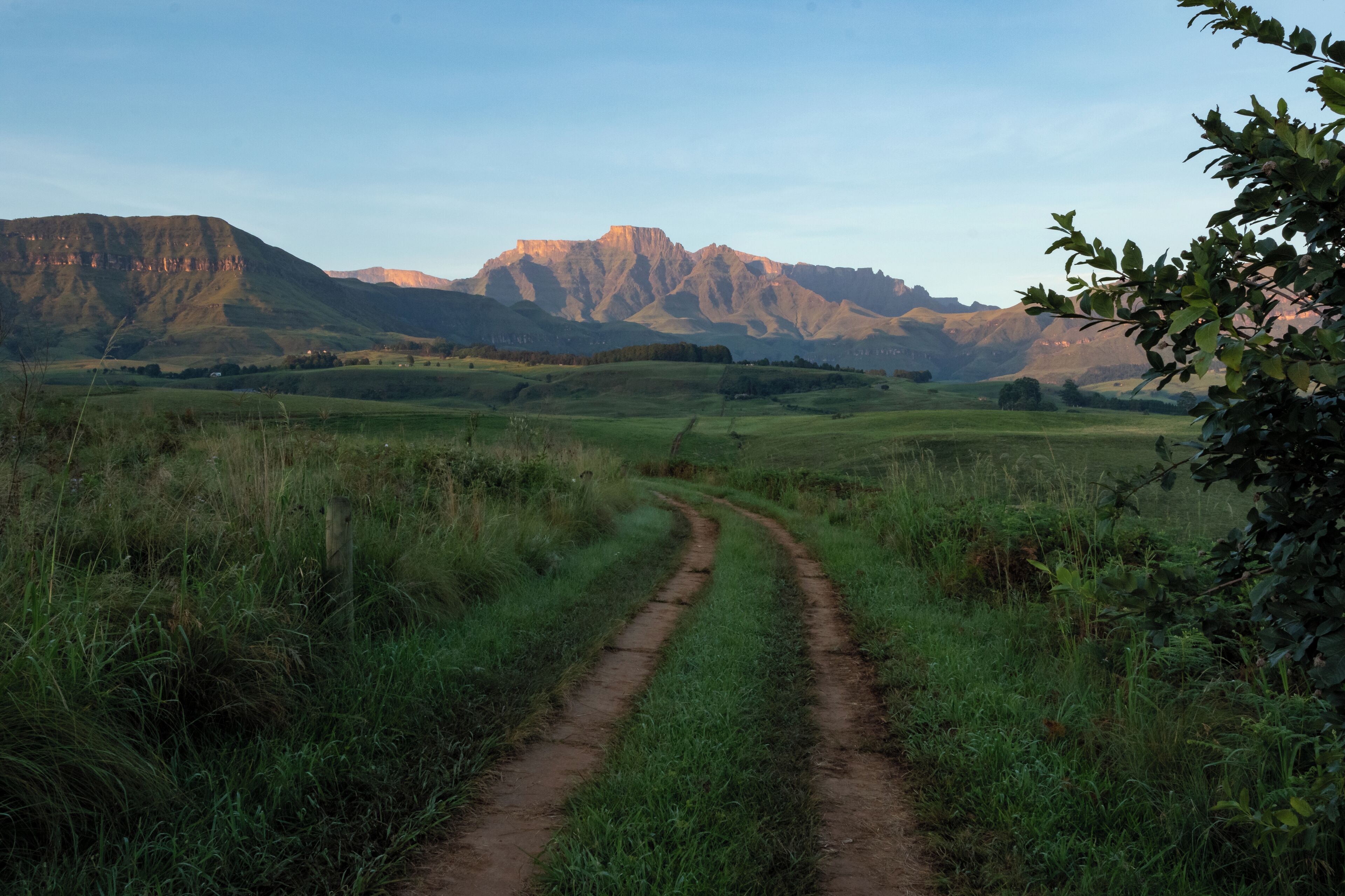 A dirt path leading through a grassy field towards a mountain range.