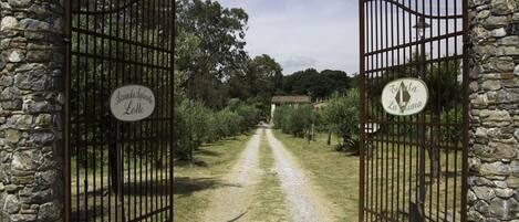 A gravel path leading through a gated entrance with stone walls and metal gates.