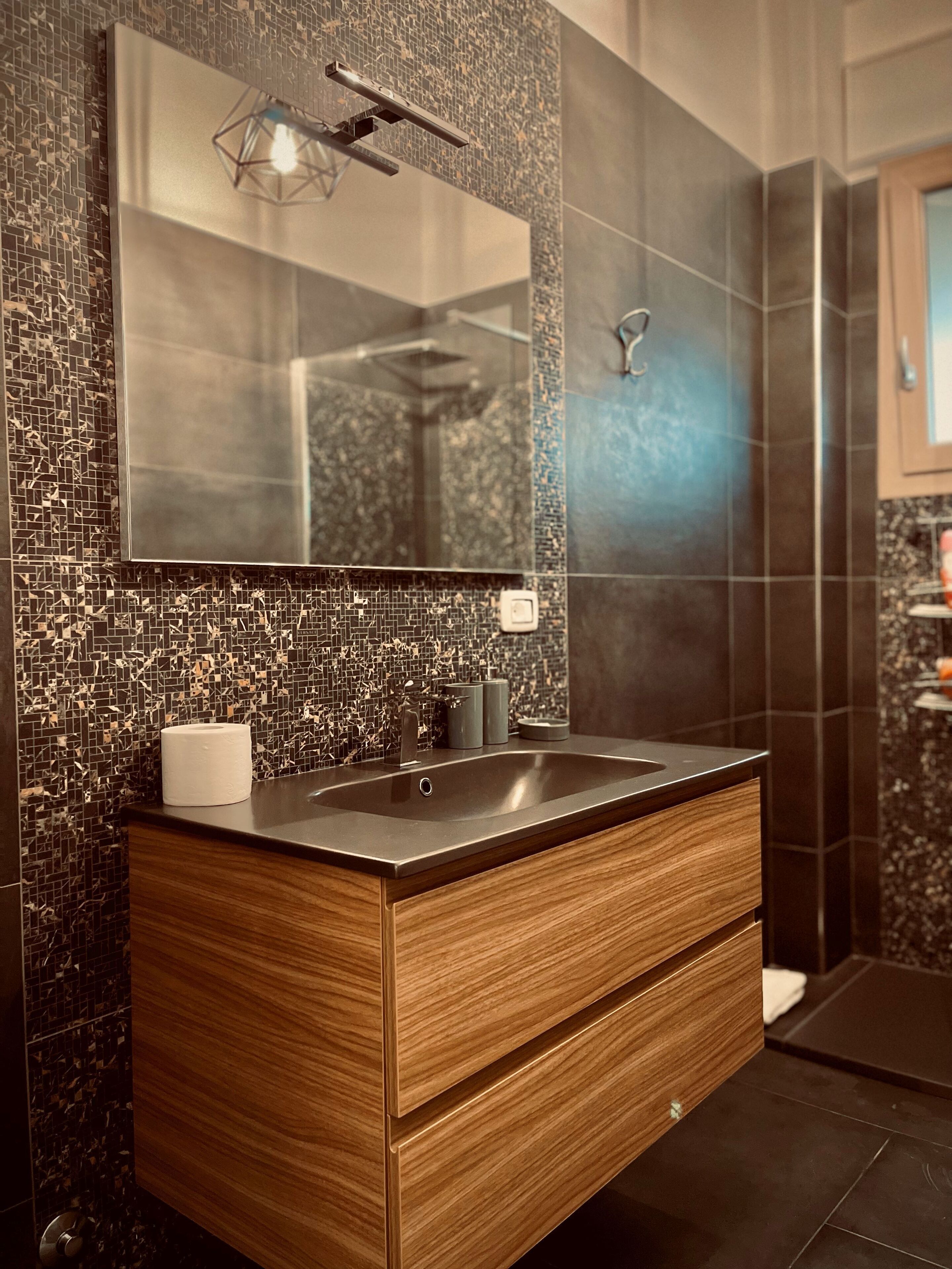 Shower, hair dryer, bidet, towels