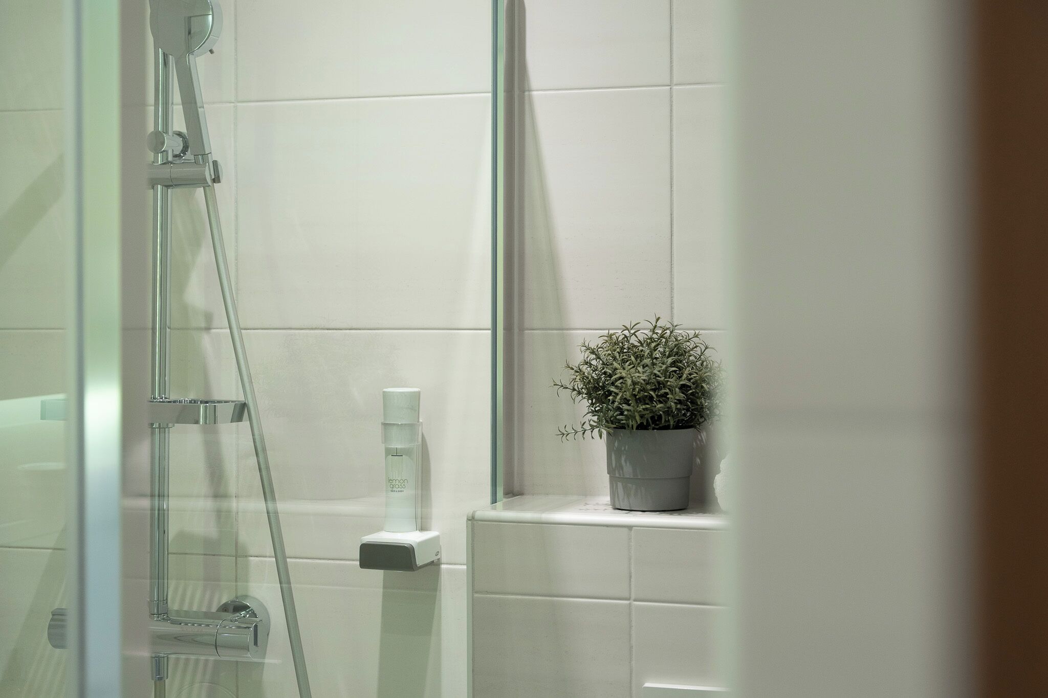 A shower with a glass door, a potted plant on the wall, and a soap dispenser.