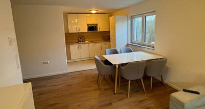 Neue 3- Zimmerwohnung