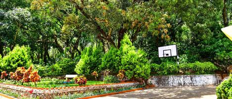A courtyard with a basketball court, surrounded by lush greenery and various plants.