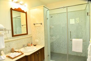 Shower, rainfall showerhead, designer toiletries, hair dryer - Niraamaya Private Home Stay Chikmagalur (Tarikere)