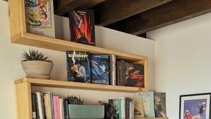 Un canapé blanc agrémenté de coussins décoratifs, une bibliothèque en bois contenant divers ouvrages et une plante en pot, ainsi qu’une œuvre d’art encadrée accrochée au mur.